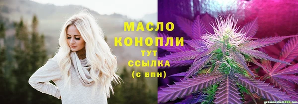 тгк Снежинск